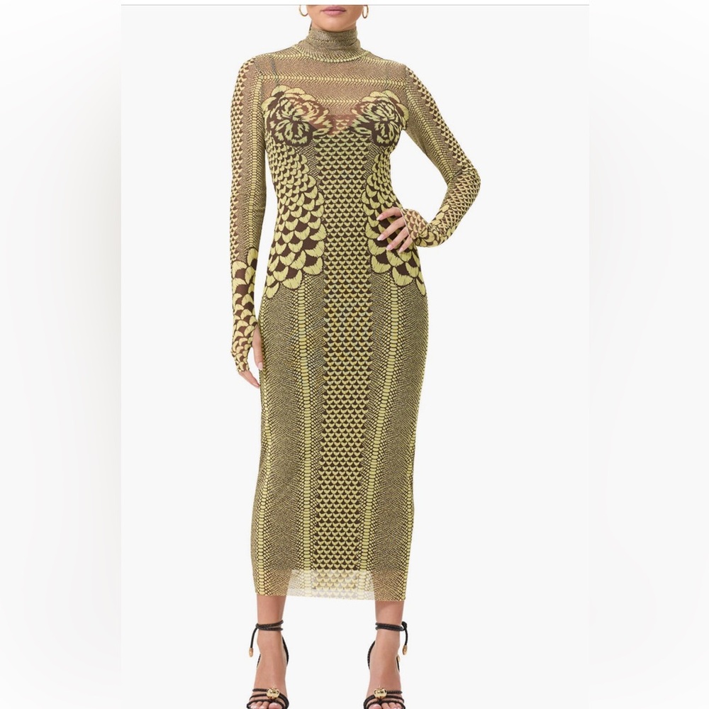 Shailene Printed Mesh Turtleneck Long Sleeve Midi Dress
